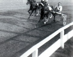 Horse Race